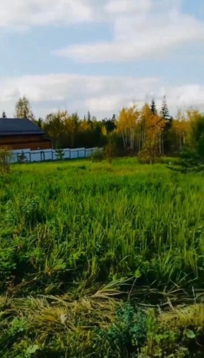 ДП Родной в Волчанске - volchansk.yutvil.ru