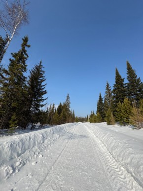 ДП Родной в Волчанске - volchansk.yutvil.ru - фото 7