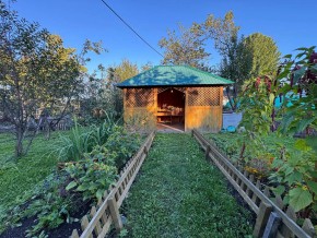 Екатеренбург сад Торгмаш, СНТ  Садовод, уч. 52 в Волчанске - volchansk.yutvil.ru - фото 10