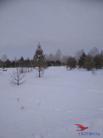 Земельный участок поселок Баженово в Волчанске - volchansk.yutvil.ru - фото 5