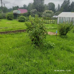 г Верхняя пышма, СНТ Мираж, уч.№ 99 в Волчанске - volchansk.yutvil.ru - фото 11