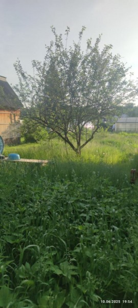 г Верхняя пышма, СНТ Мираж, уч.№ 99 в Волчанске - volchansk.yutvil.ru - фото 19
