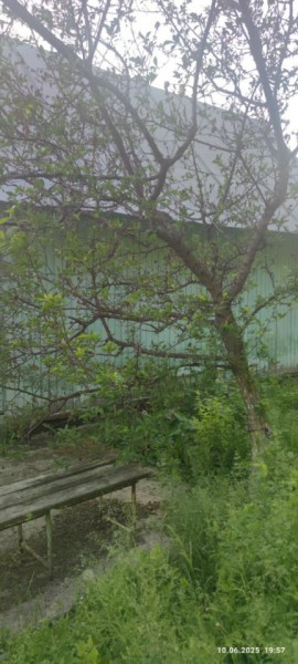 г Верхняя пышма, СНТ Мираж, уч.№ 99 в Волчанске - volchansk.yutvil.ru - фото 26