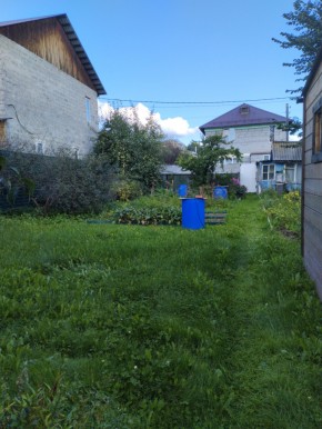 Коллективный сад номер 7, участок 58 в Волчанске - volchansk.yutvil.ru - фото 26 Коллективный сад номер 7, участок 58 в Волчанске - volchansk.yutvil.ru - фото 26
