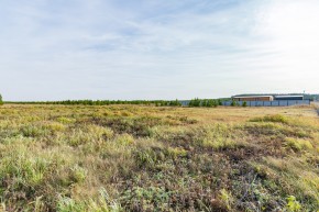 Российская Федерация, Свердловская область, Сысертский городской округ, территория садоводческого некоммерческого товарищества Бобровские дачи, улица Каштановая, земельный участок № 38 в Волчанске - volchansk.yutvil.ru - фото 24