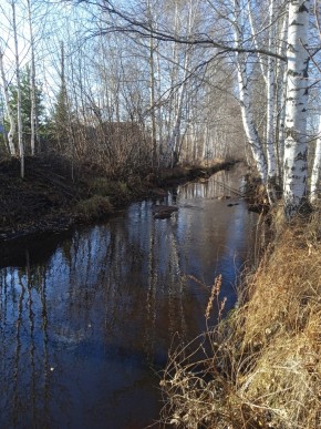 СНТ Берёзка в Волчанске - volchansk.yutvil.ru - фото 14