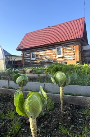 СНТ Дорожник в Волчанске - volchansk.yutvil.ru - фото 19
