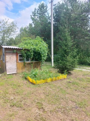 СНТ Родники в Волчанске - volchansk.yutvil.ru - фото 2