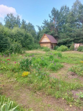 СНТ Родники в Волчанске - volchansk.yutvil.ru - фото 3