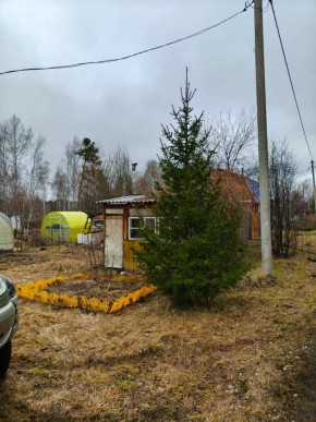 СНТ Родники в Волчанске - volchansk.yutvil.ru - фото 5