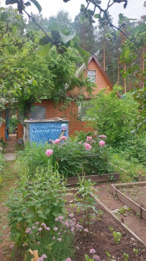 Екатеринбург, СНТ Садовод-24 в Волчанске - volchansk.yutvil.ru