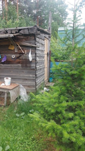 Екатеринбург, СНТ Садовод-24 в Волчанске - volchansk.yutvil.ru - фото 13