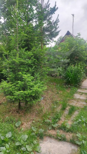 Екатеринбург, СНТ Садовод-24 в Волчанске - volchansk.yutvil.ru - фото 15