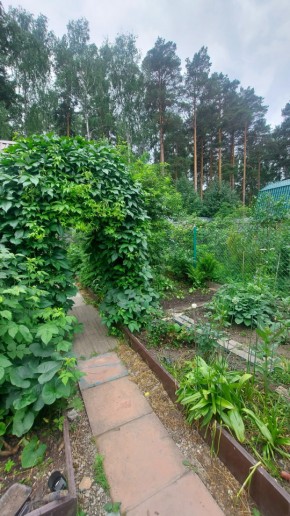 Екатеринбург, СНТ Садовод-24 в Волчанске - volchansk.yutvil.ru - фото 20