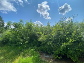 СПК Юбилейный, уч. 9 в Волчанске - volchansk.yutvil.ru - фото 9