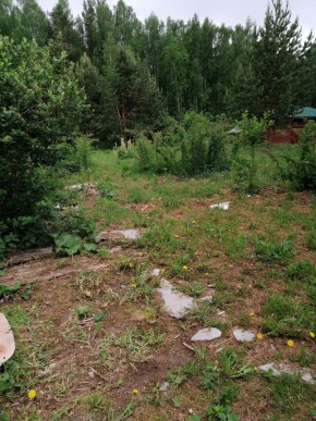 СТН Семья №112, Верхняя пышма на землях бывшего подсобного хозяйтва верхнепышминского опытного завода в Волчанске - volchansk.yutvil.ru - фото 17 СТН Семья №112, Верхняя пышма на землях бывшего подсобного хозяйтва верхнепышминского опытного завода в Волчанске - volchansk.yutvil.ru - фото 17