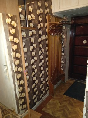 ул. Бажова,11 в Волчанске - volchansk.yutvil.ru - фото 9 ул. Бажова,11 в Волчанске - volchansk.yutvil.ru - фото 9