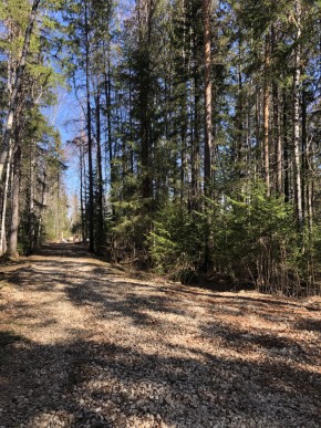 ул. Калиновая,9 в Волчанске - volchansk.yutvil.ru - фото 2 ул. Калиновая,9 в Волчанске - volchansk.yutvil.ru - фото 2