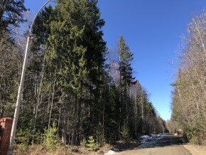 ул. Калиновая,9 в Волчанске - volchansk.yutvil.ru - фото 4 ул. Калиновая,9 в Волчанске - volchansk.yutvil.ru - фото 4