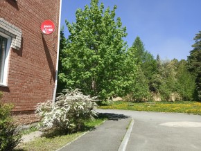 ул. Сосновая, 8 в Волчанске - volchansk.yutvil.ru - фото 25 ул. Сосновая, 8 в Волчанске - volchansk.yutvil.ru - фото 25