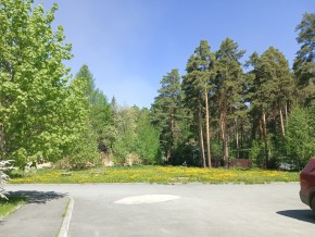 ул. Сосновая, 8 в Волчанске - volchansk.yutvil.ru - фото 26 ул. Сосновая, 8 в Волчанске - volchansk.yutvil.ru - фото 26