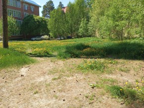 ул. Сосновая, 8 в Волчанске - volchansk.yutvil.ru - фото 33 ул. Сосновая, 8 в Волчанске - volchansk.yutvil.ru - фото 33