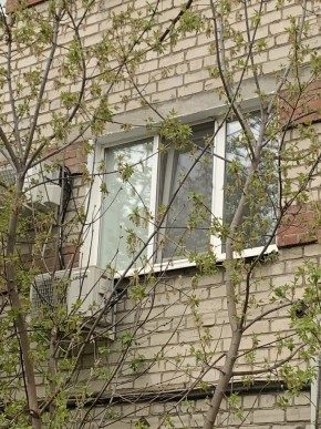 ул. Таганская,8 в Волчанске - volchansk.yutvil.ru - фото 14