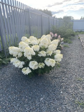 ул. Весенняя,12 в Волчанске - volchansk.yutvil.ru - фото 20